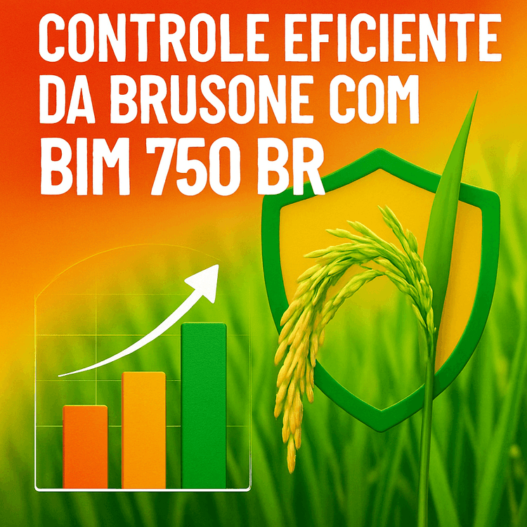 BIM 750 BR: A Solução Eficaz Contra a Brusone do Arroz