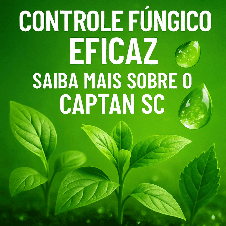 CAPTAN SC: O Fungicida Eficaz para o Controle de Doenças Agrícolas