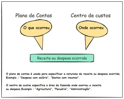 O Plano de Contas e os Centros de Custos