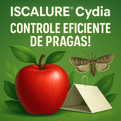 ISCALURE Cydia: Solução Eficaz para o Monitoramento da Carpocapsa