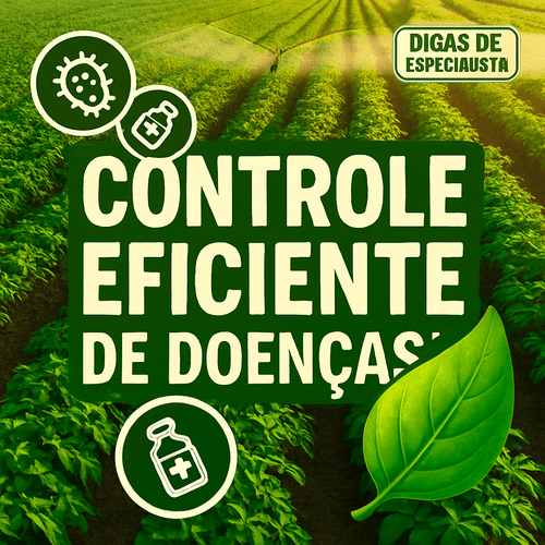 Controle Eficiente de Doenças em Culturas com o Fungicida CONTACT