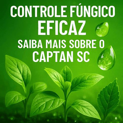 CAPTAN SC: O Fungicida Eficaz para o Controle de Doenças Agrícolas