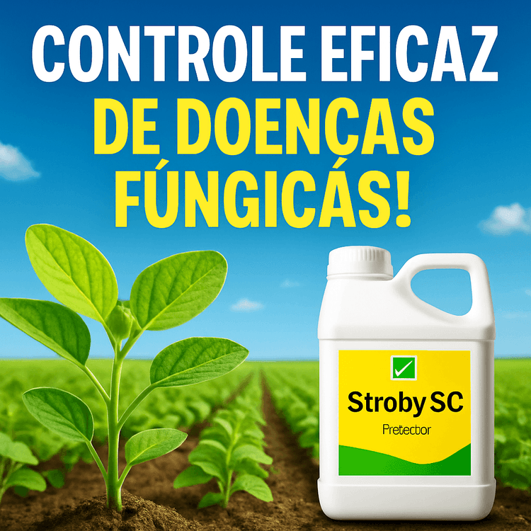 Tudo sobre o Fungicida Stroby® SC: Eficácia e Precauções