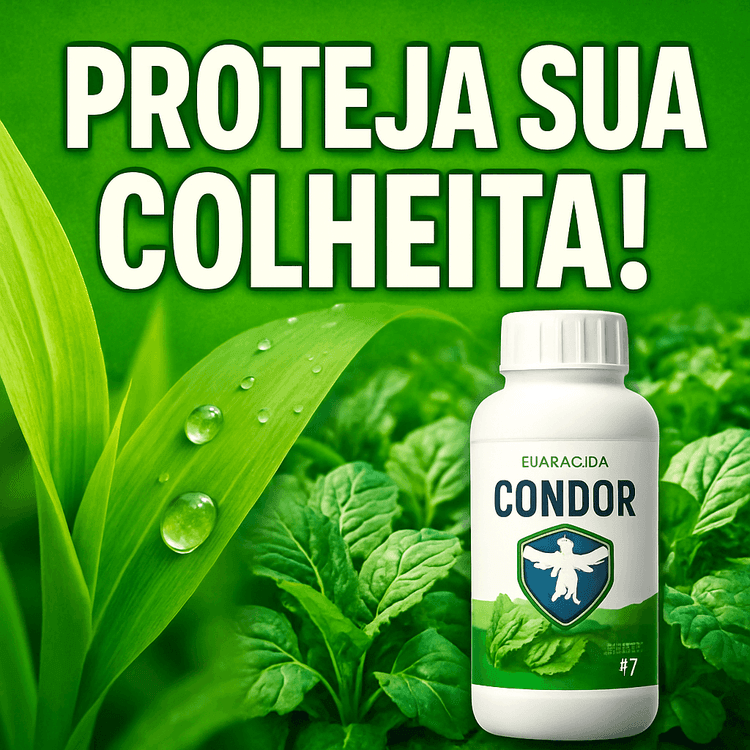 Controle de Doenças Fúngicas com Condor 200 SC