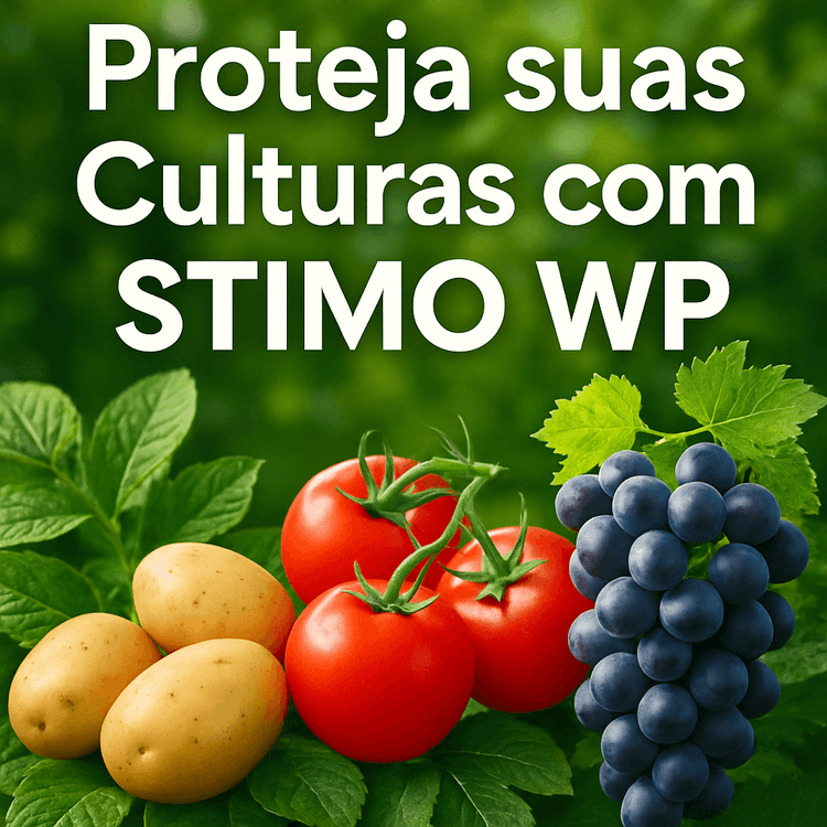 STIMO WP: Um Aliado no Controle de Doenças Fúngicas