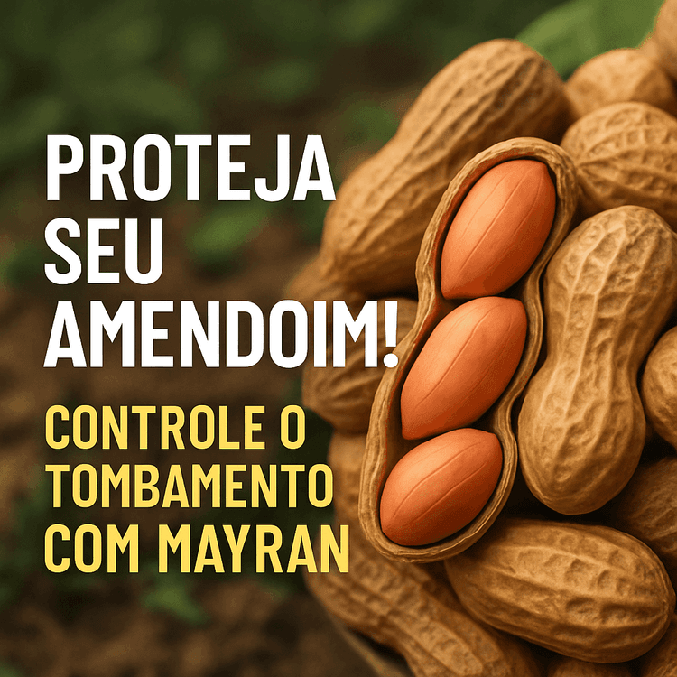 Mayran: O Fungicida Essencial para o Cultivo do Amendoim
