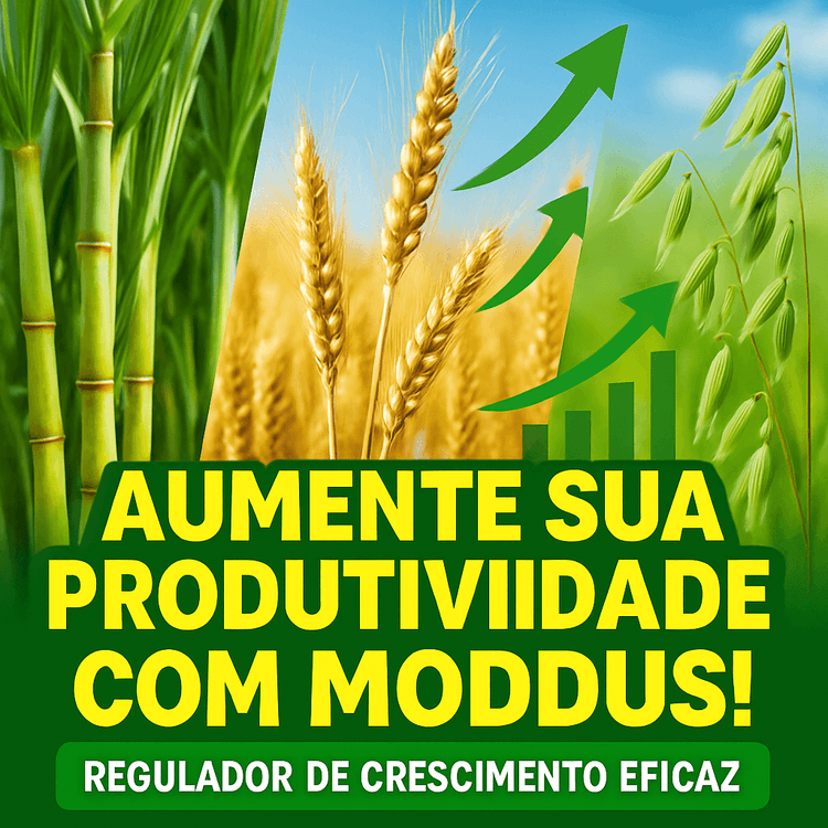 Moddus: O Regulador de Crescimento para Culturas Agrícolas