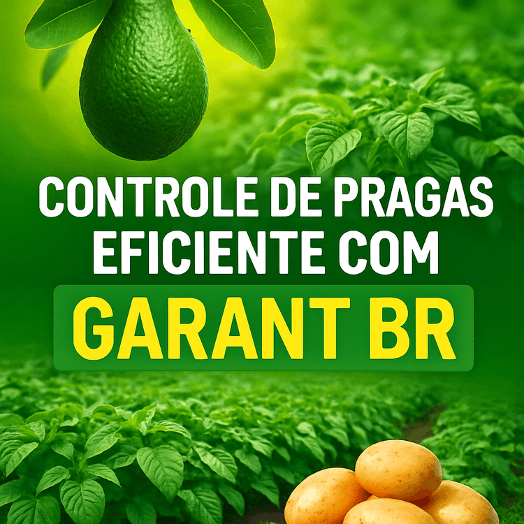 Uso Seguro do Garant BR: Um Guia Completo