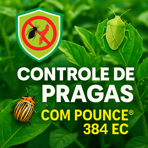 Controle Eficaz de Pragas com POUNCE® 384 EC: Um Guia Completo