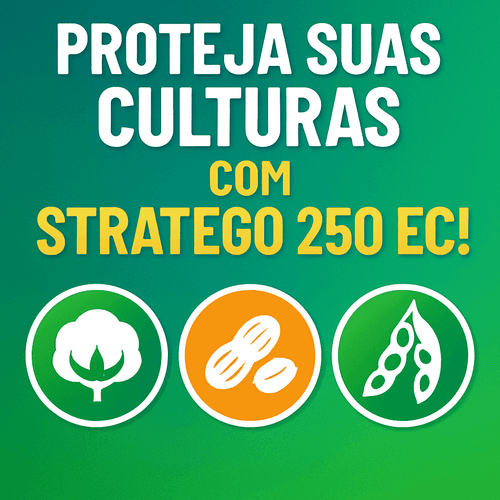 Controle Eficiente de Doenças na Agricultura: Utilização do STRATEGO 250 EC