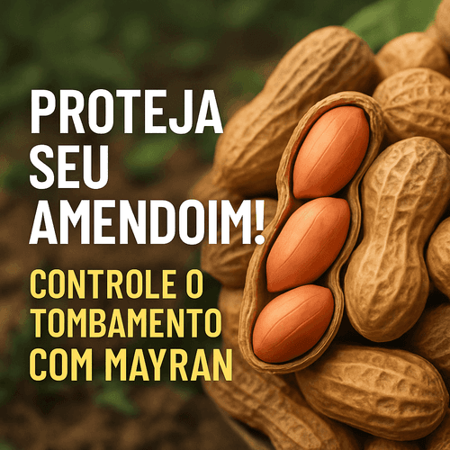 Mayran: O Fungicida Essencial para o Cultivo do Amendoim