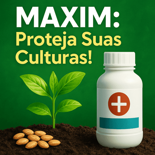 MAXIM: Uma Abordagem Abrangente ao Tratamento de Sementes com Fludioxonil