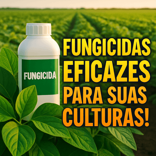 FUNGINIL: O Combate Eficiente Contra Doenças Fúngicas nas Culturas Agrícolas
