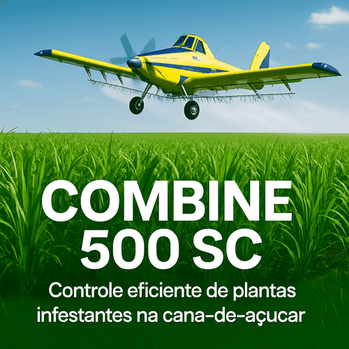 COMBINE 500 SC: Guia Completo do Herbicida Tebuthiuron para Cana-de-Açúcar