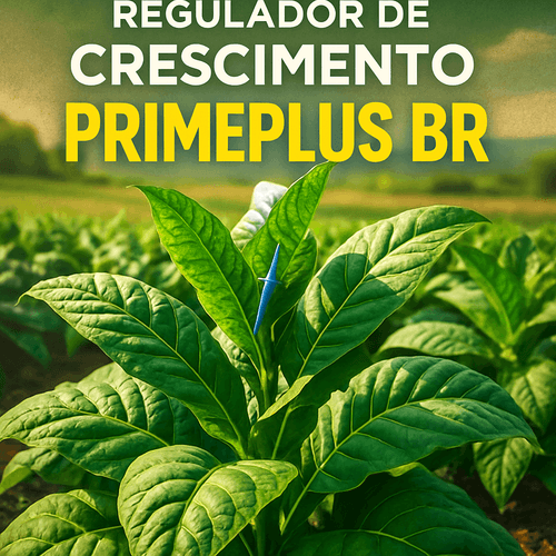 Uso Seguro e Responsável do PRIMEPLUS BR: Um Regulador de Crescimento para a Cultura do Fumo