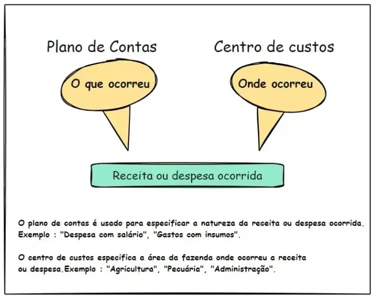 O Plano de Contas e os Centros de Custos