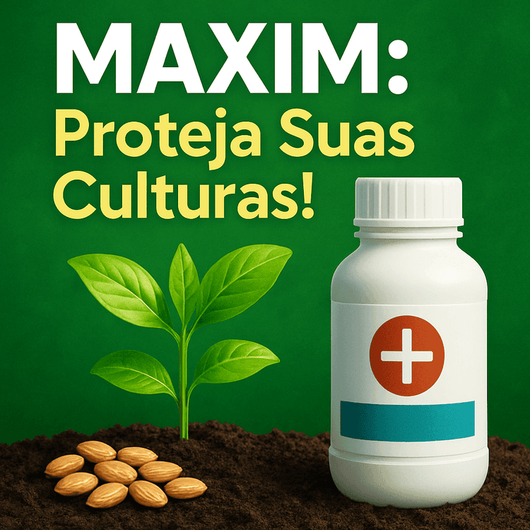 MAXIM: Uma Abordagem Abrangente ao Tratamento de Sementes com Fludioxonil