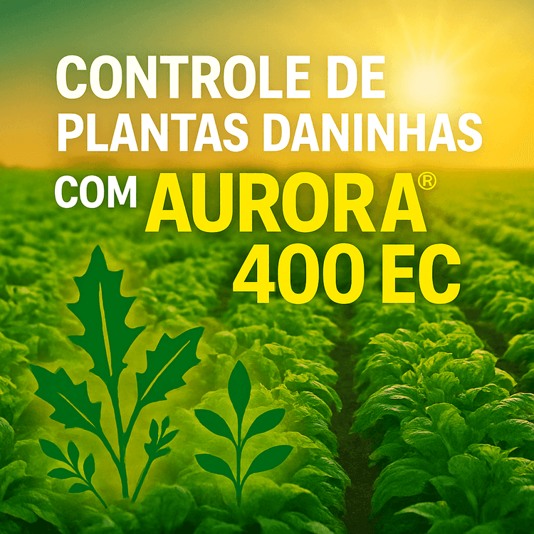 Uso Seguro e Eficiente do Herbicida AURORA® 400 EC