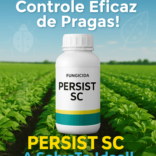 PERSIST SC: Uma Análise Profunda sobre Uso, Segurança e Eficácia