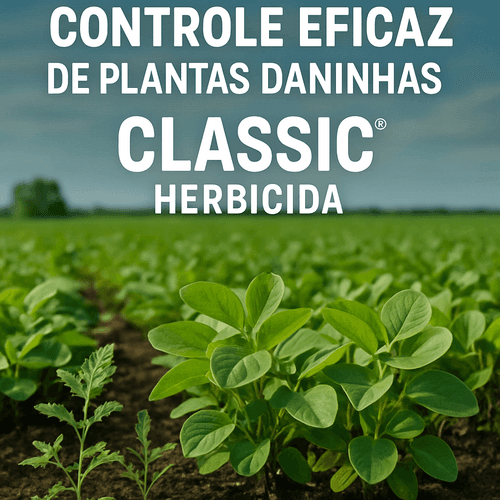 Classic®: Guia Completo do Herbicida Seletivo para Soja