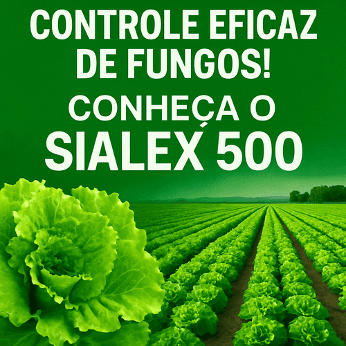 SIALEX 500: O Fungicida Sistêmico para Proteger Suas Culturas