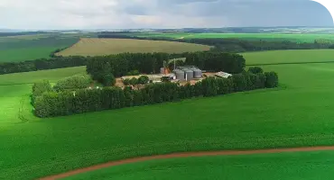 Fazenda de producao de graos